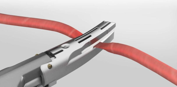 B Medic Product Miconvey 3